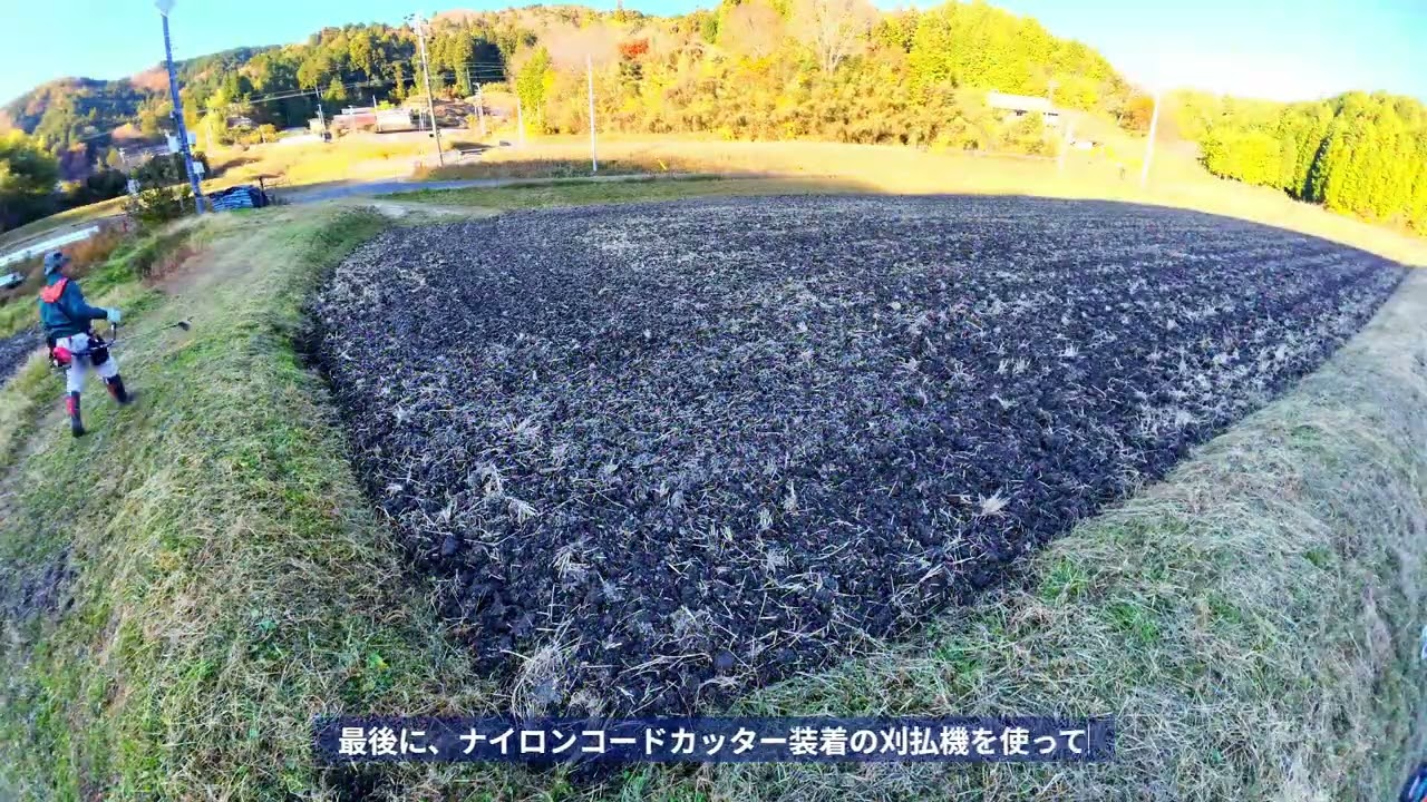 20251126草刈り作業５０