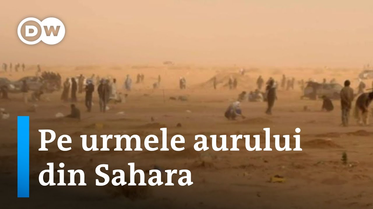 Căutătorii de aur din Sahara