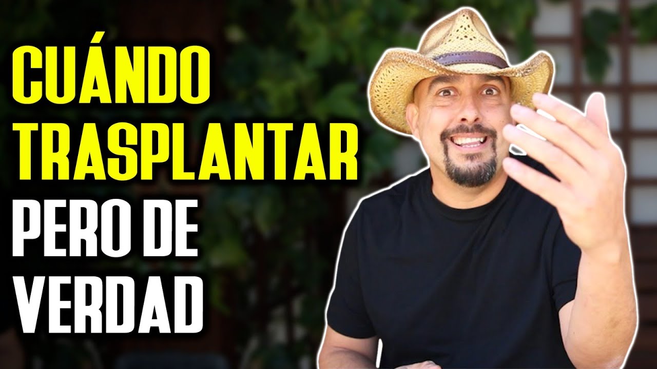 Cuando trasplantar... pero de verdad!
