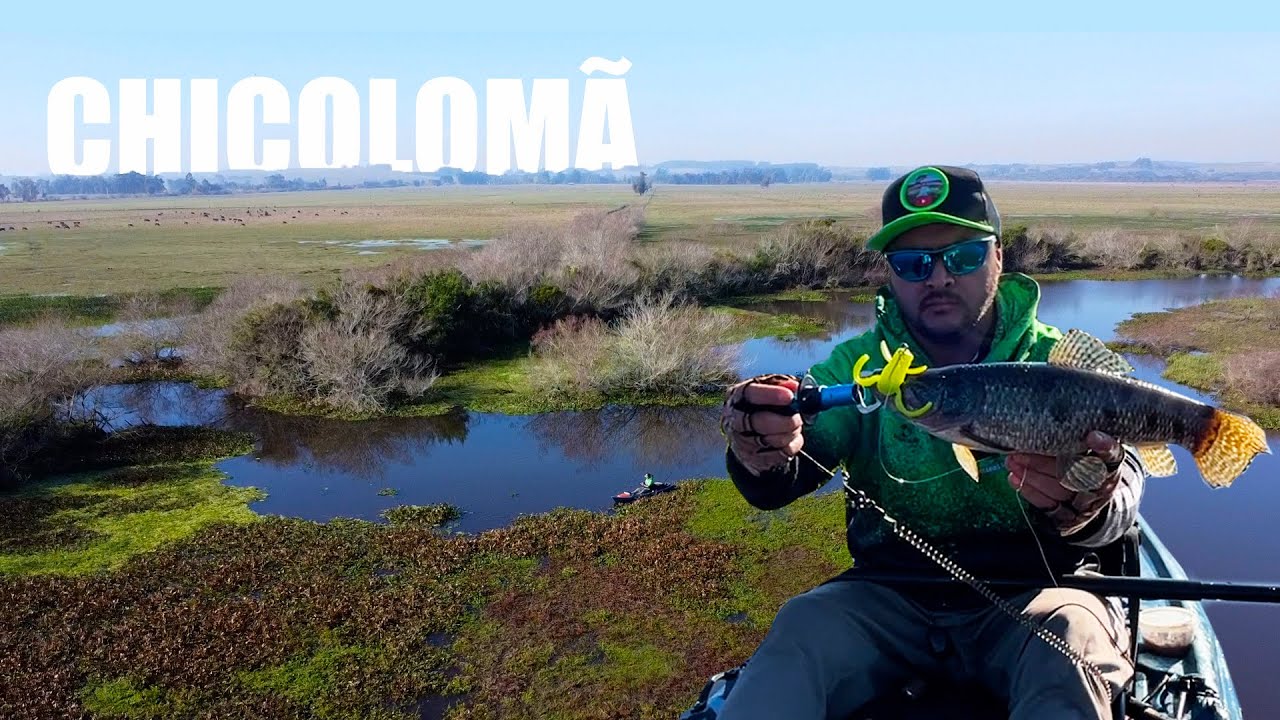ALAGADO DO ARROIO CHICOLOMÃ  -  Pescaria de Traíras !