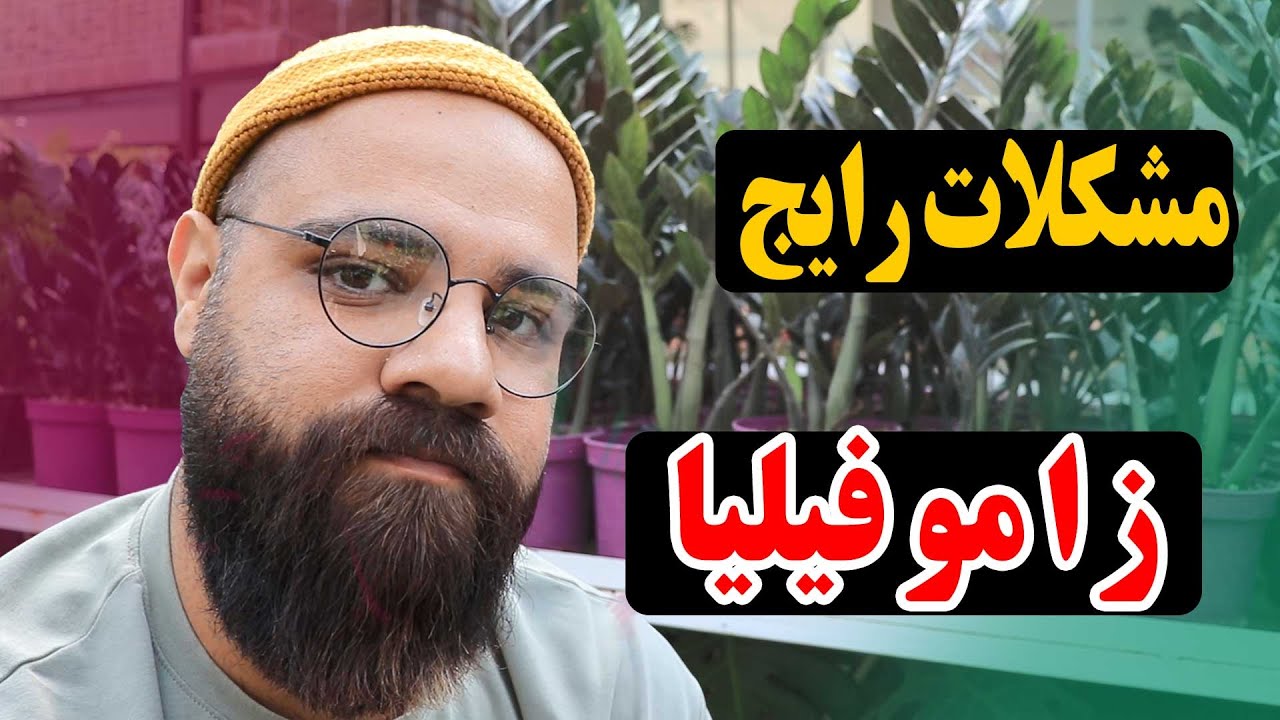 بهترین مدل‌های زاموفیلیا در ایران
