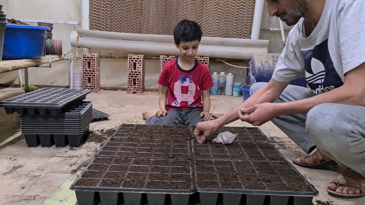 زراعة المورينقا والبان العربي والنعناع مع الشيخ زاهر الجزء الأول