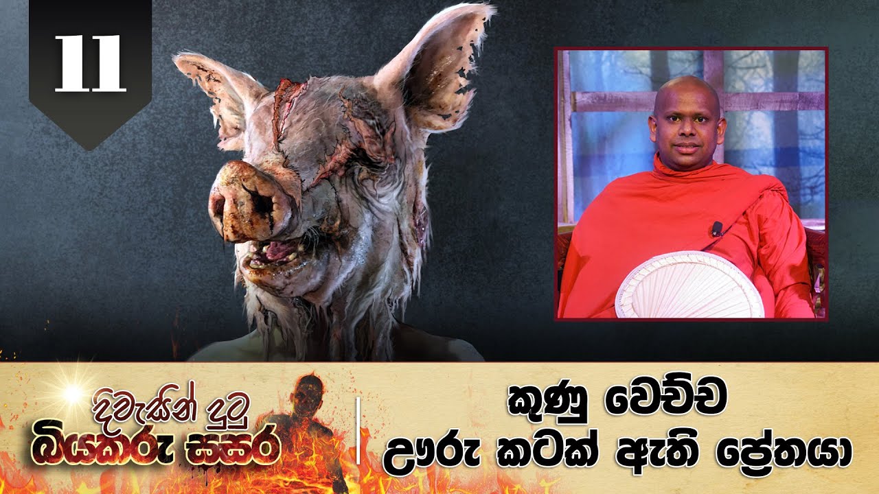 11. දිවැසින් දුටු බියකරු සසර | කුණු වෙච්ච ඌරු කටක් ඇති ප්‍රේතයා.