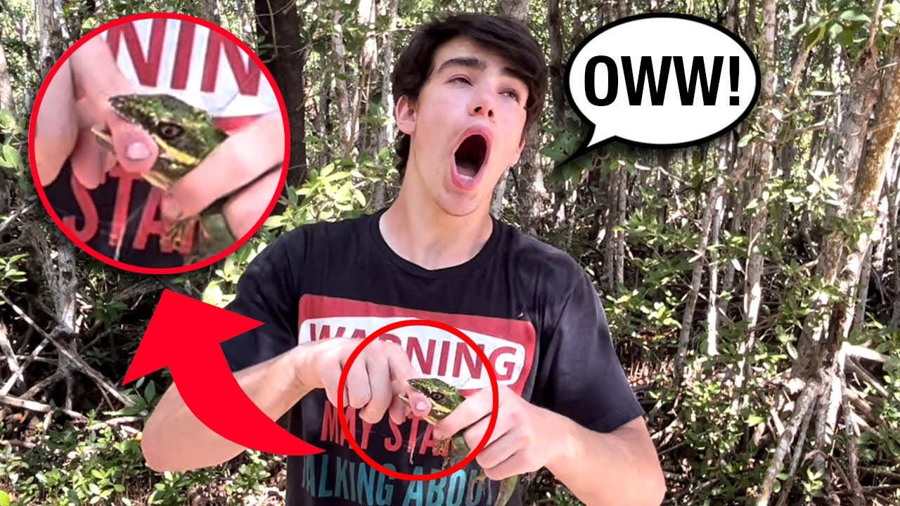 Worst Lizard BITE of my LIFE!!
