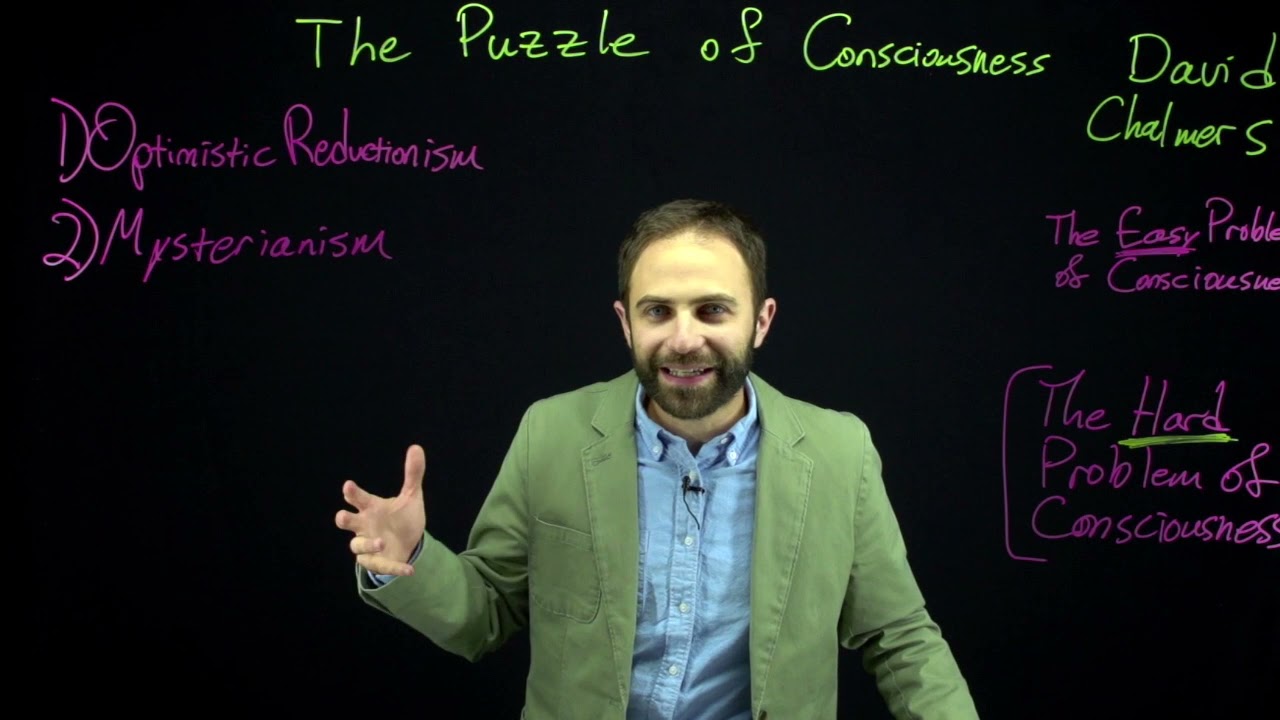 111   17   Chalmers Puzzle of Consciousness