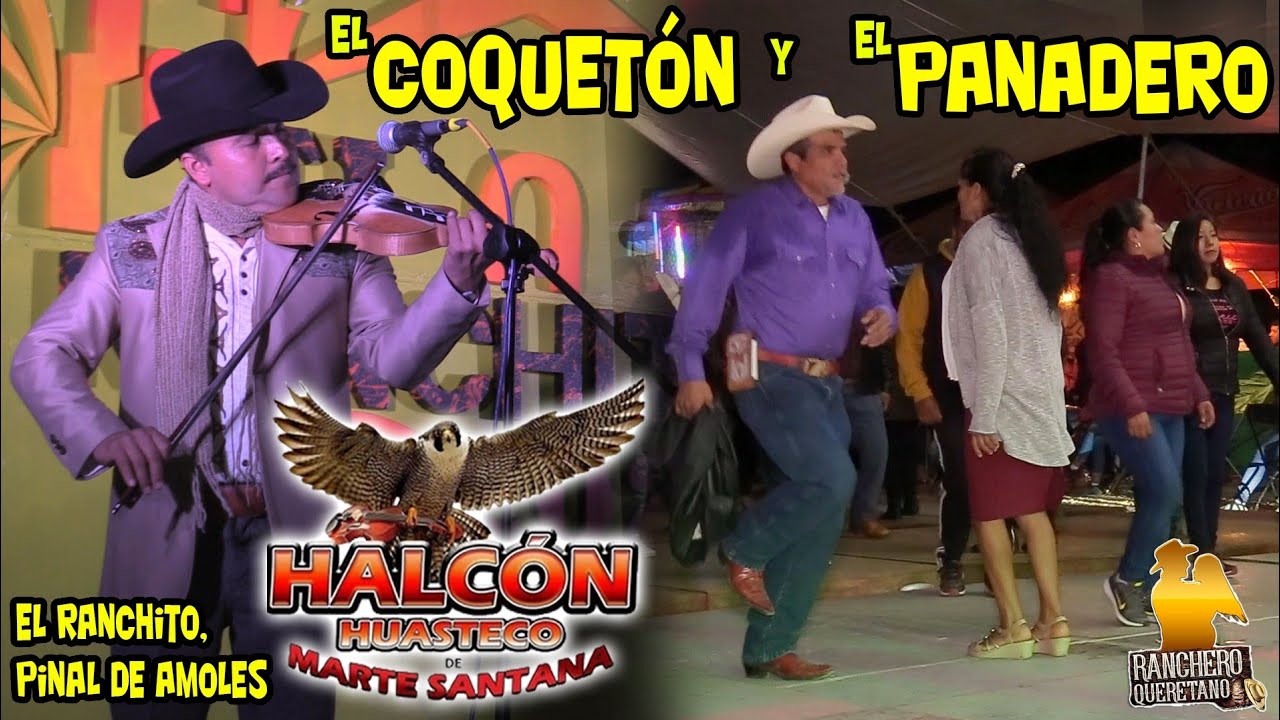 Halcon Huasteco De Marte Santana - El Coquetón y El Panadero