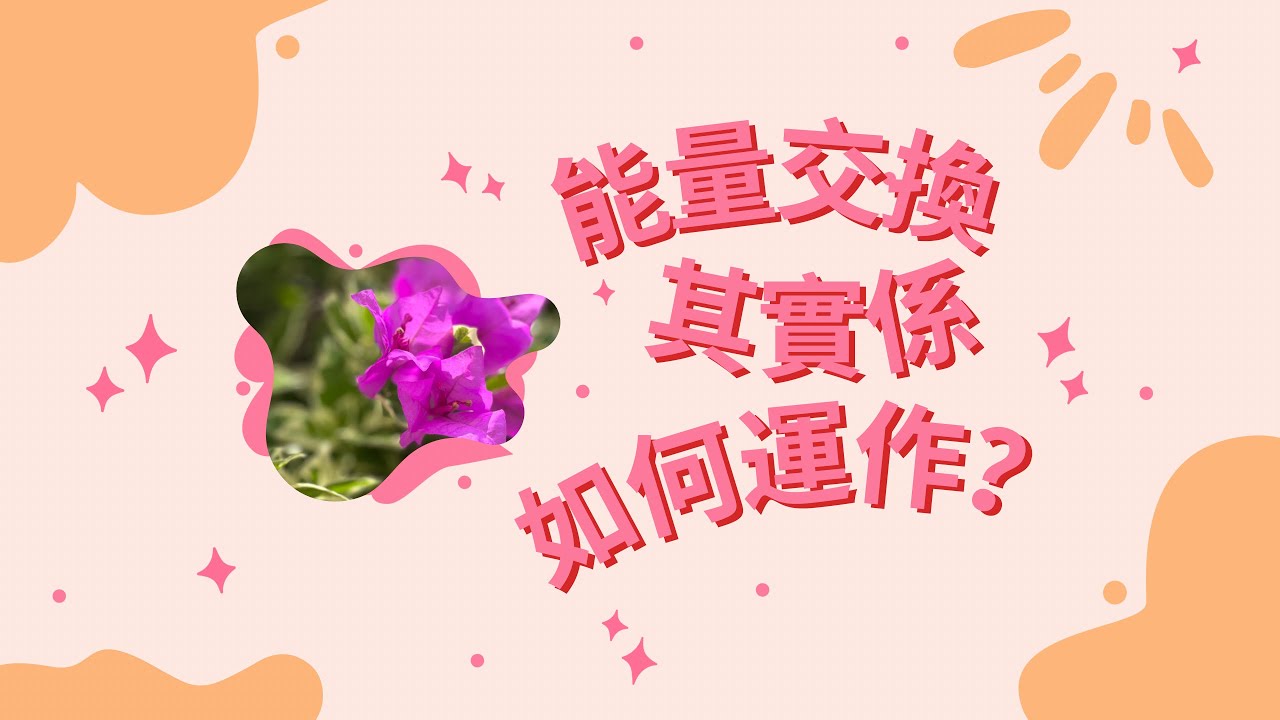 乜嘢叫做能量交換？