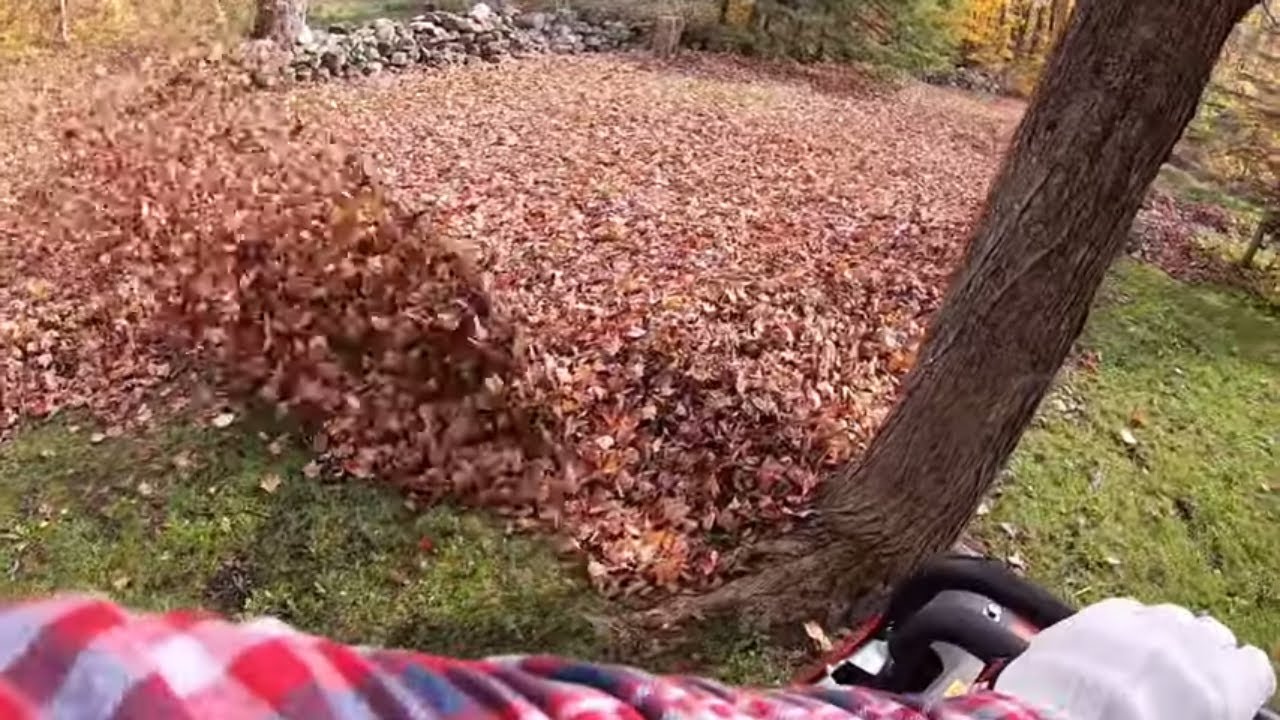 #341 Leaf Blower in the Meadow! FERRIS FB2000 Hurricane Commercial Debris Blower. outdoor channel.