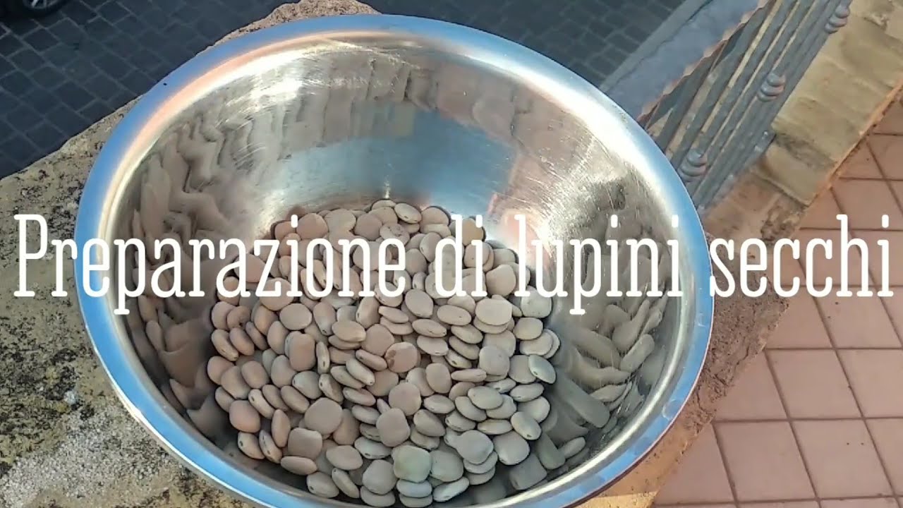 Il lupino, questo perfetto sconosciuto - come preparare i lupini secchi - buono in tutte le stagioni