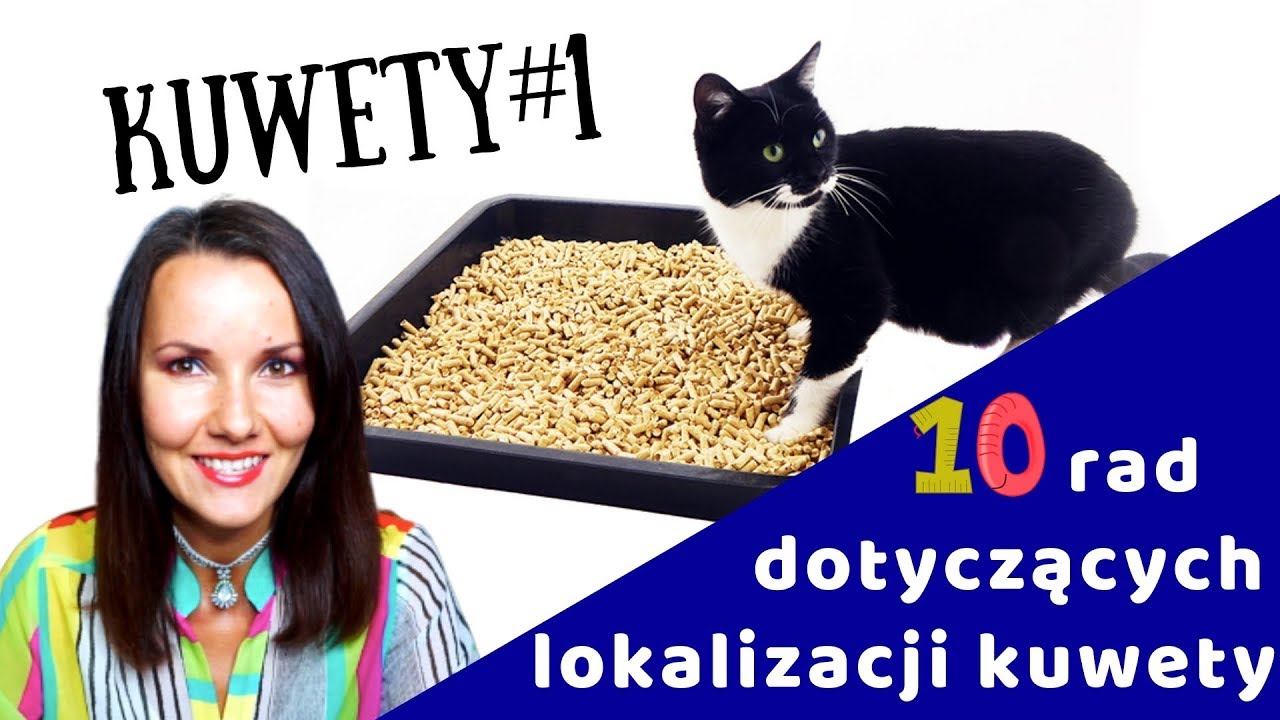 KUWETologia odc. 1 / 10 tip&oacute;w: Gdzie postawić kuwety dla kota?