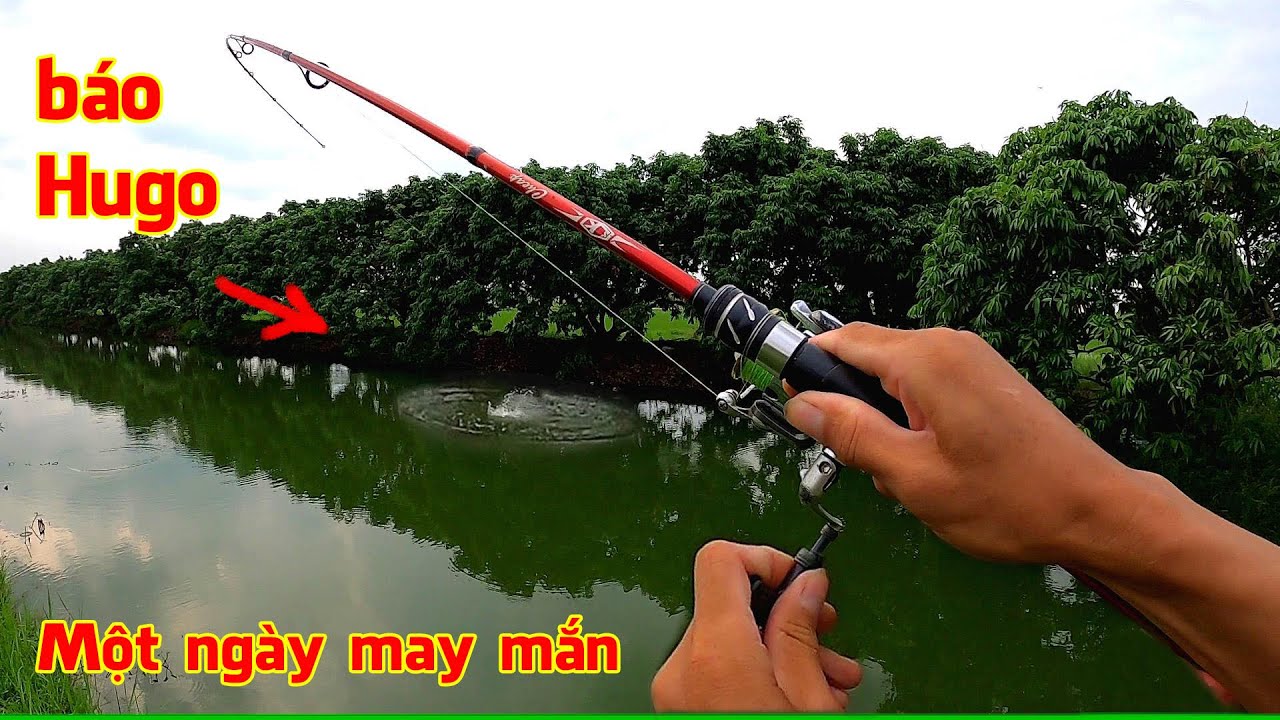 Đi câu Lure sau trận mưa rào, không ngờ toàn Hàng Khủng