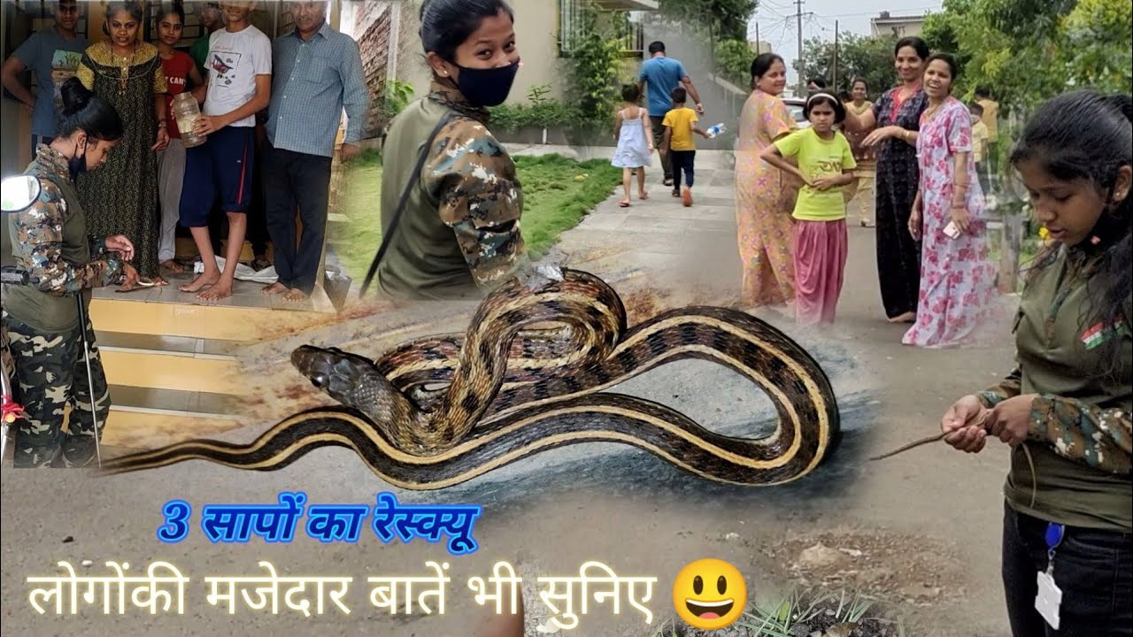 3 सापों का रेस्क्यू....और लोगोंकी मजेदार बातें भी सुनिए😄