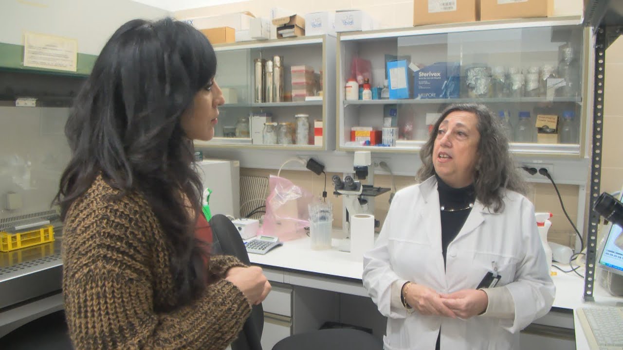 Las propiedades anticancerígenas del resveratrol y xanthohumol. Medicina y Salud, UCLM