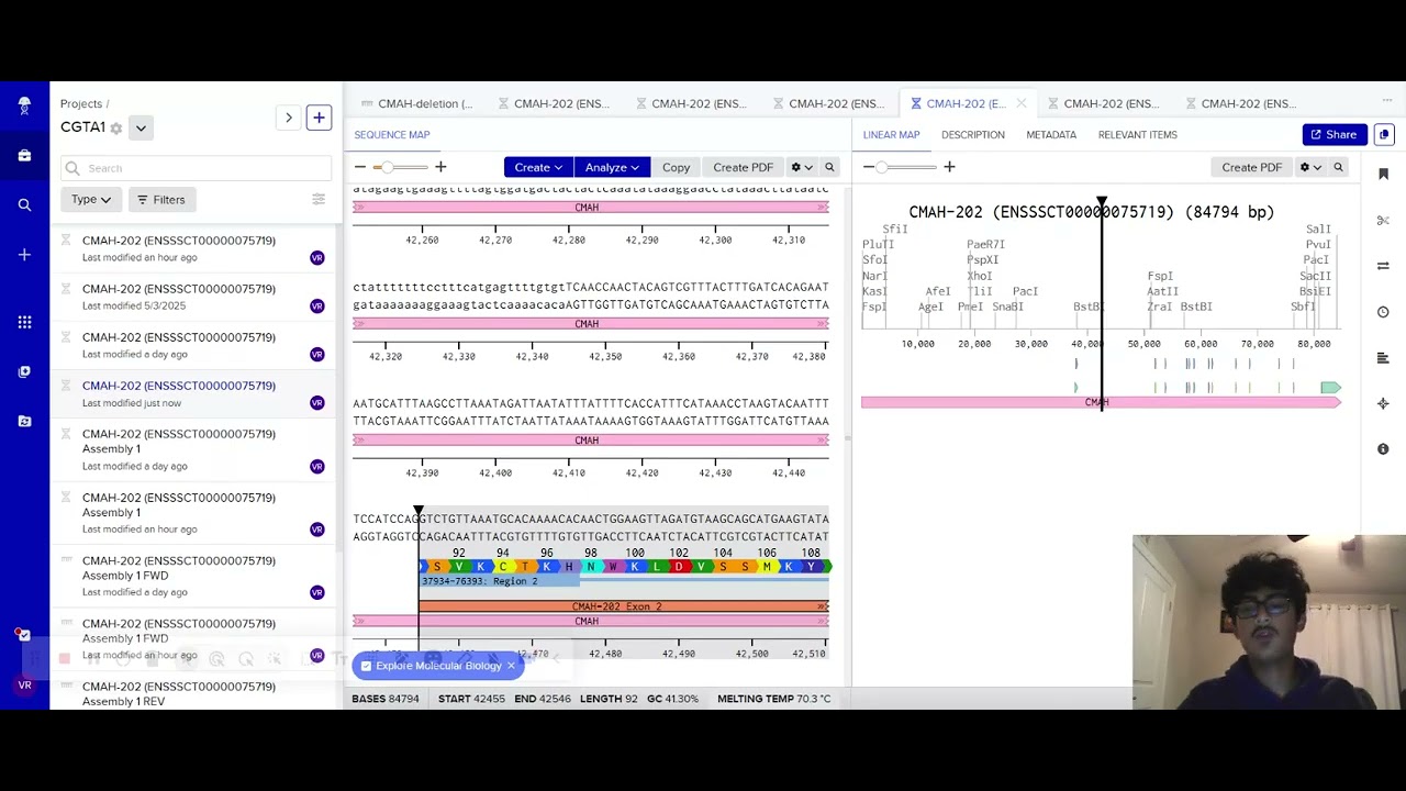 How to complete a CMAH gene knockout in Benchling