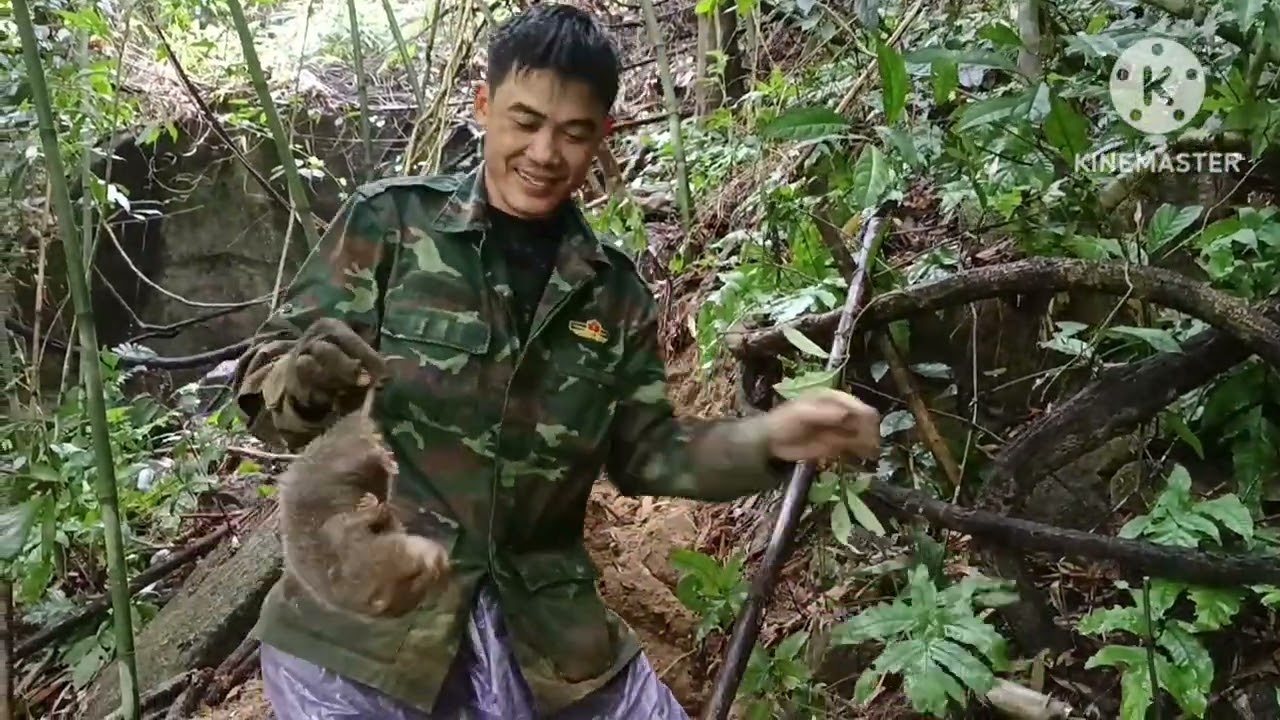 Phiêu lưu ngủ trong rừng sâu và cái kết có dúi rừng 