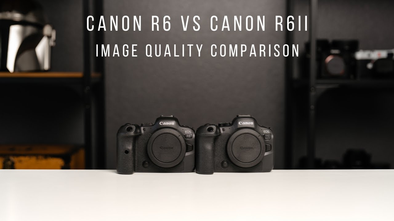 Canon R6 vs R6ii | Image Quality Comparison