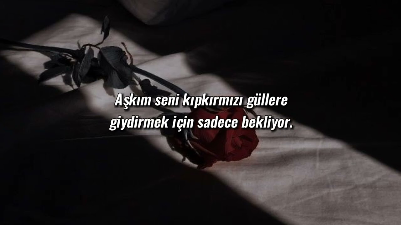 Skillet - Whispers In The Dark (Türkçe Çeviri)