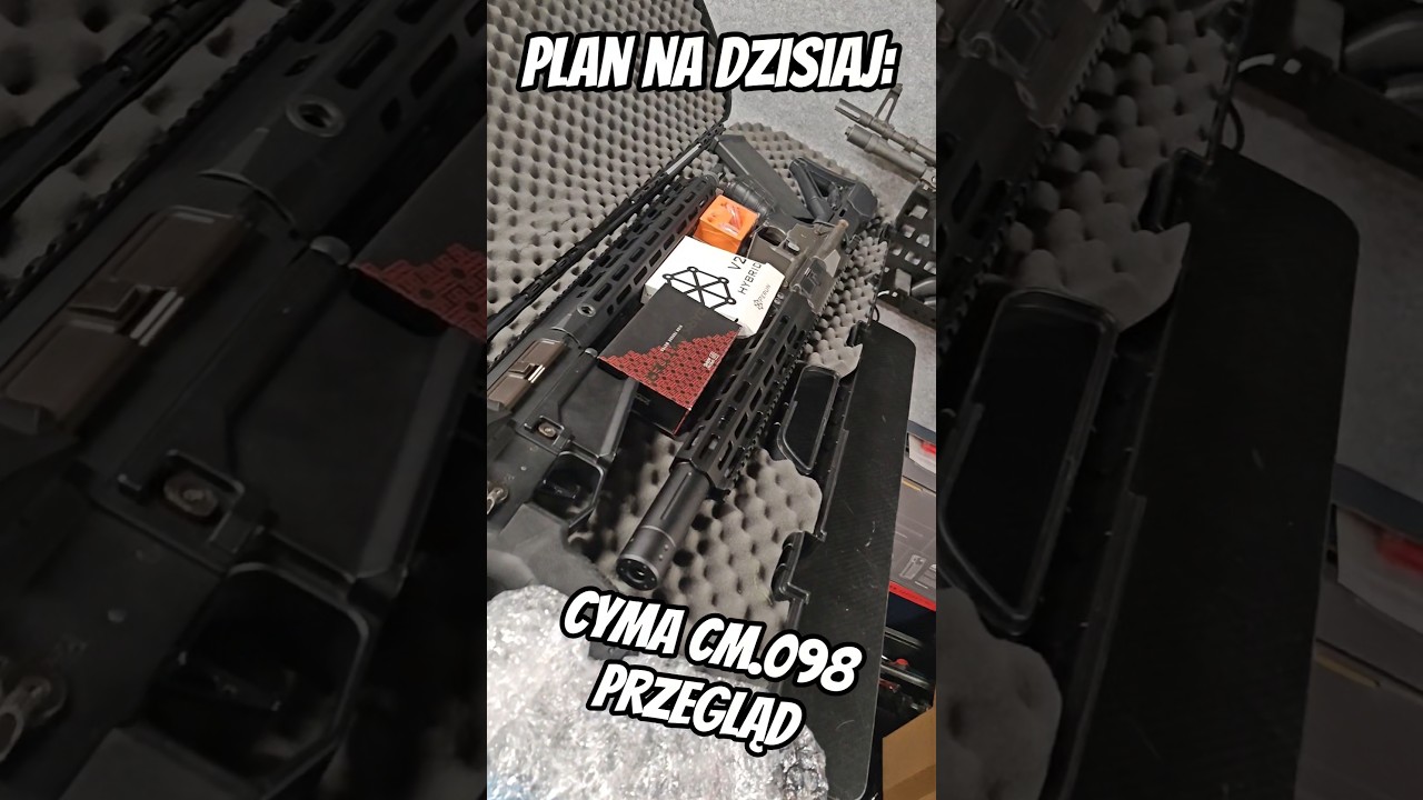 Plan na dzisiejszy stream z serwisu: przegląd, tuning i instalacja Wolfa 
