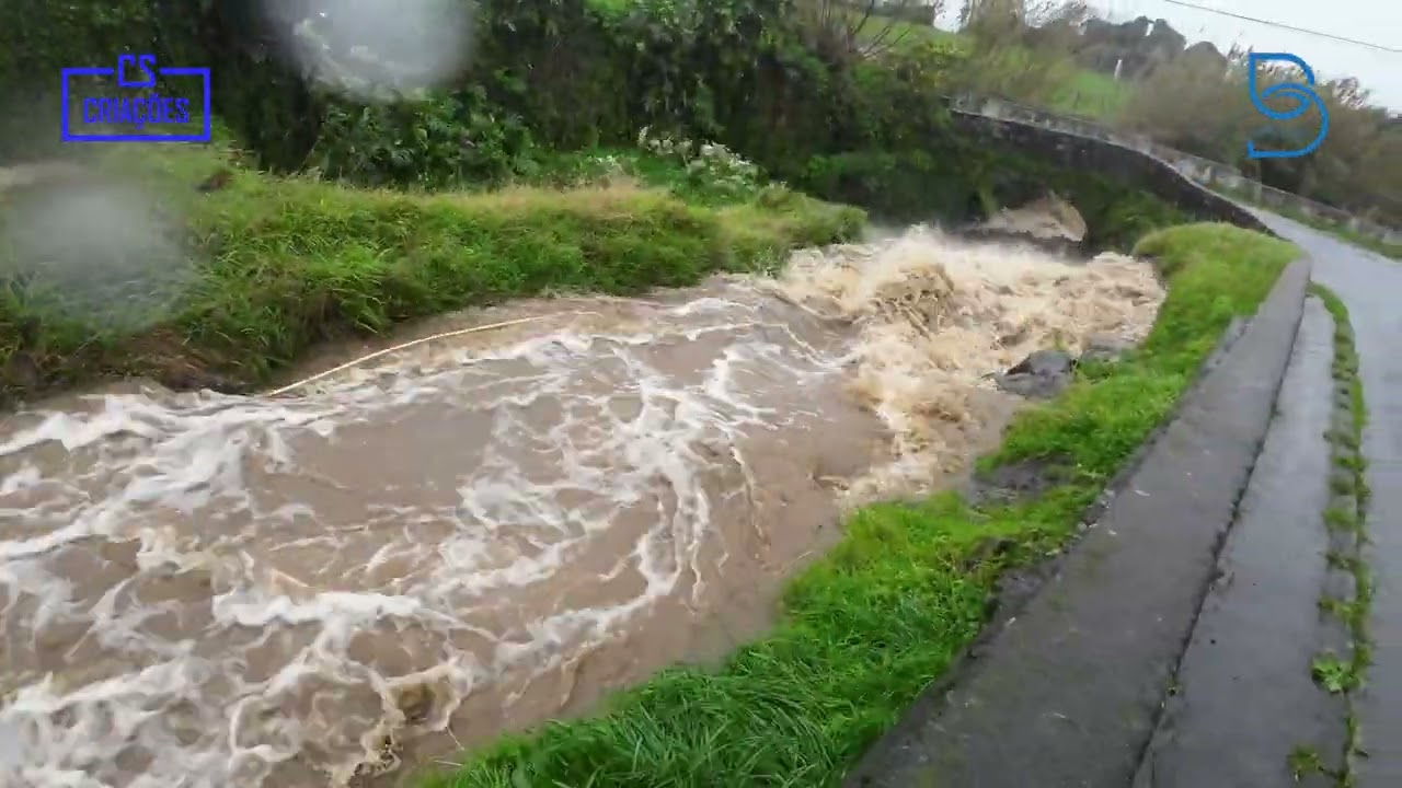Maia em dia de chuva 7-2-2024