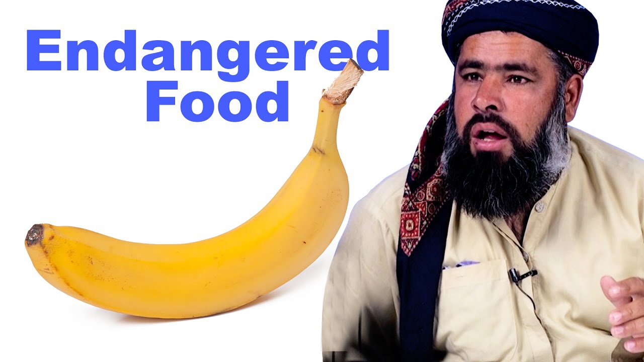 Tribal People Try Endangered Food