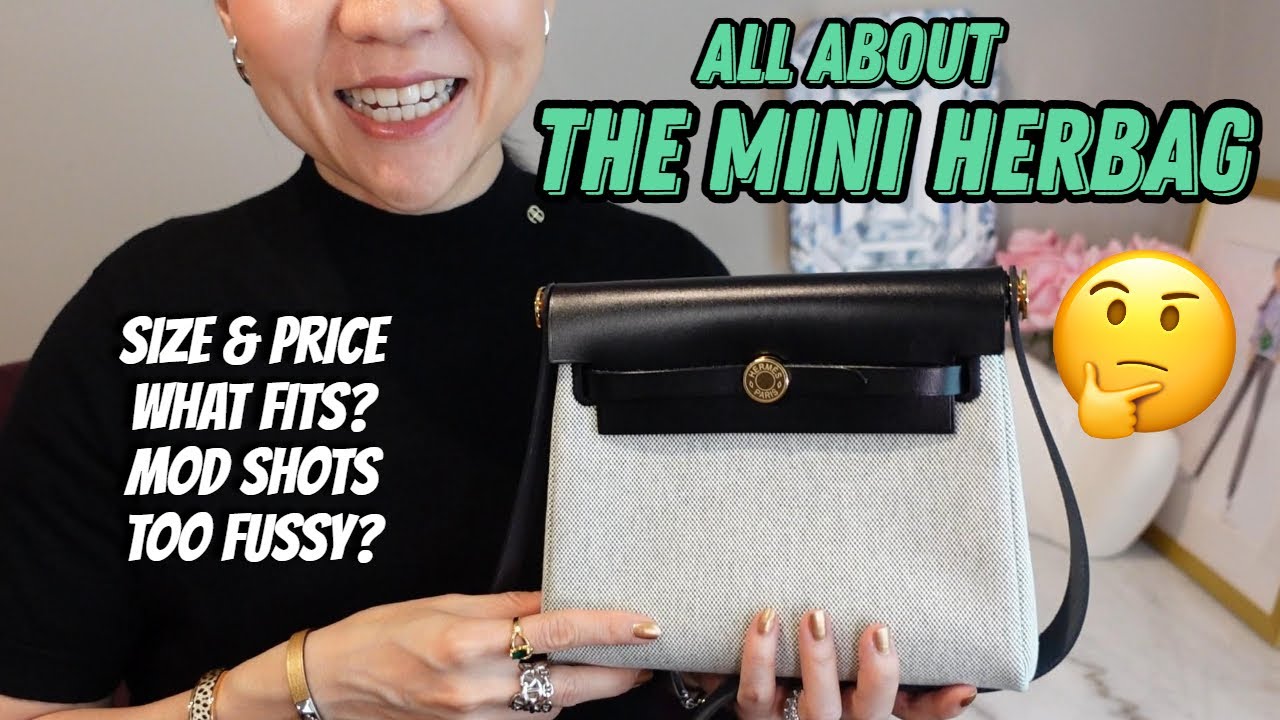 All About the Mini Herbag aka the Hermes Herbag Zip 20! | Measurements, What Fits, Mod Shots