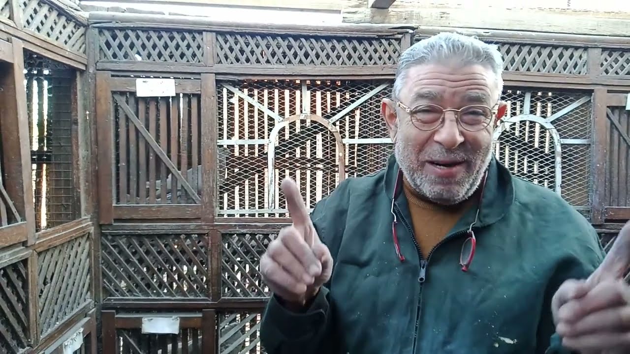 الطريق الي الحمامه المنظومه بالنبسه الي الابلق #حسين_المهدي
