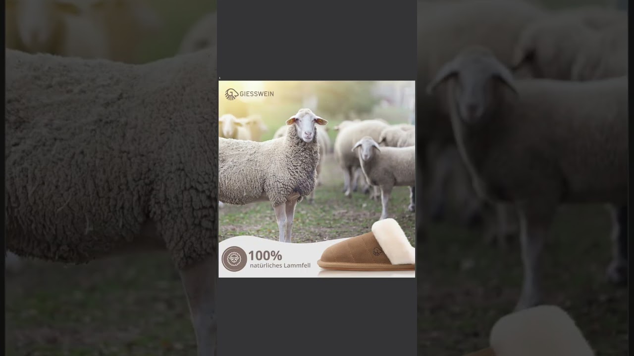 Graphic design for Amazon product images 