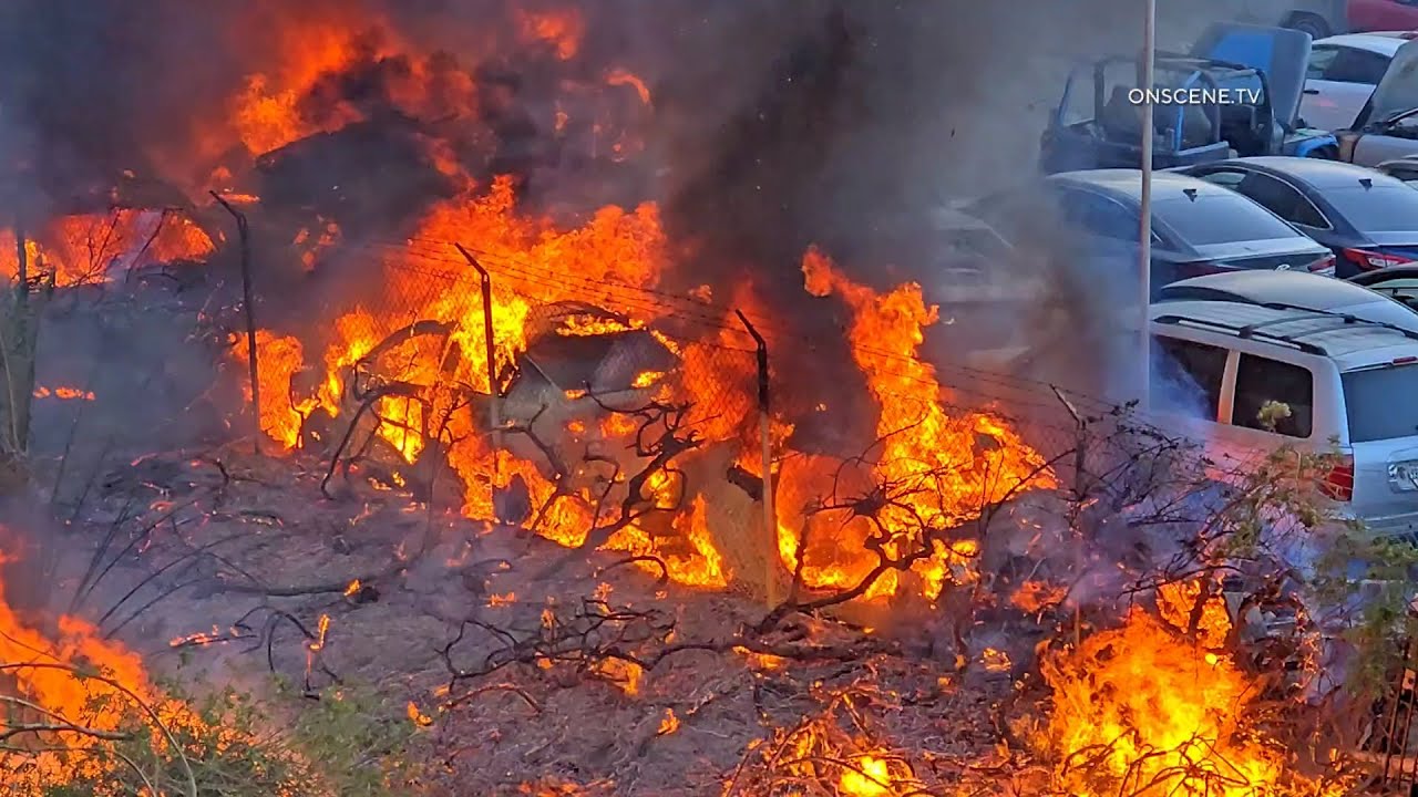 4th Alarm Vegetation Spreads to Auto Salvage Yard