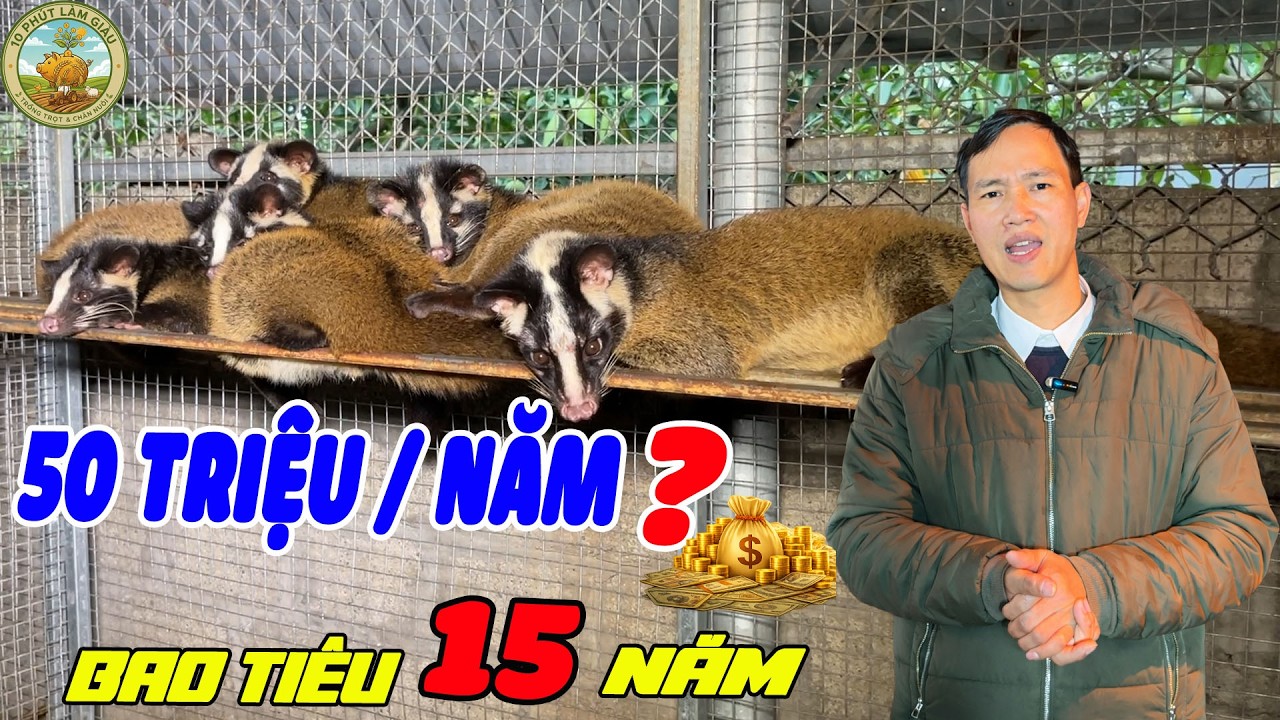 NUÔI CON GÌ LỢI NHUẬN CAO 2026? LÃI 50 TRIỆU/NĂM |10 PHÚT LÀM GIÀU