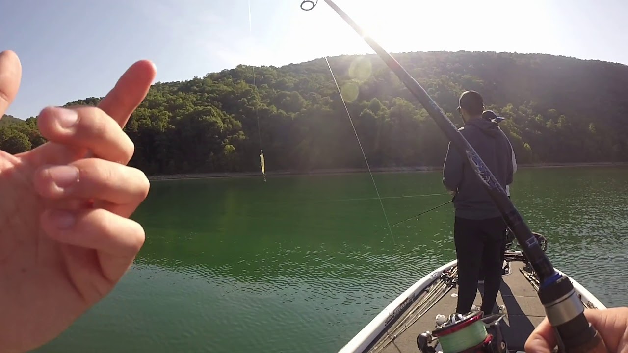 Fishing and Camping at Lake Moomaw