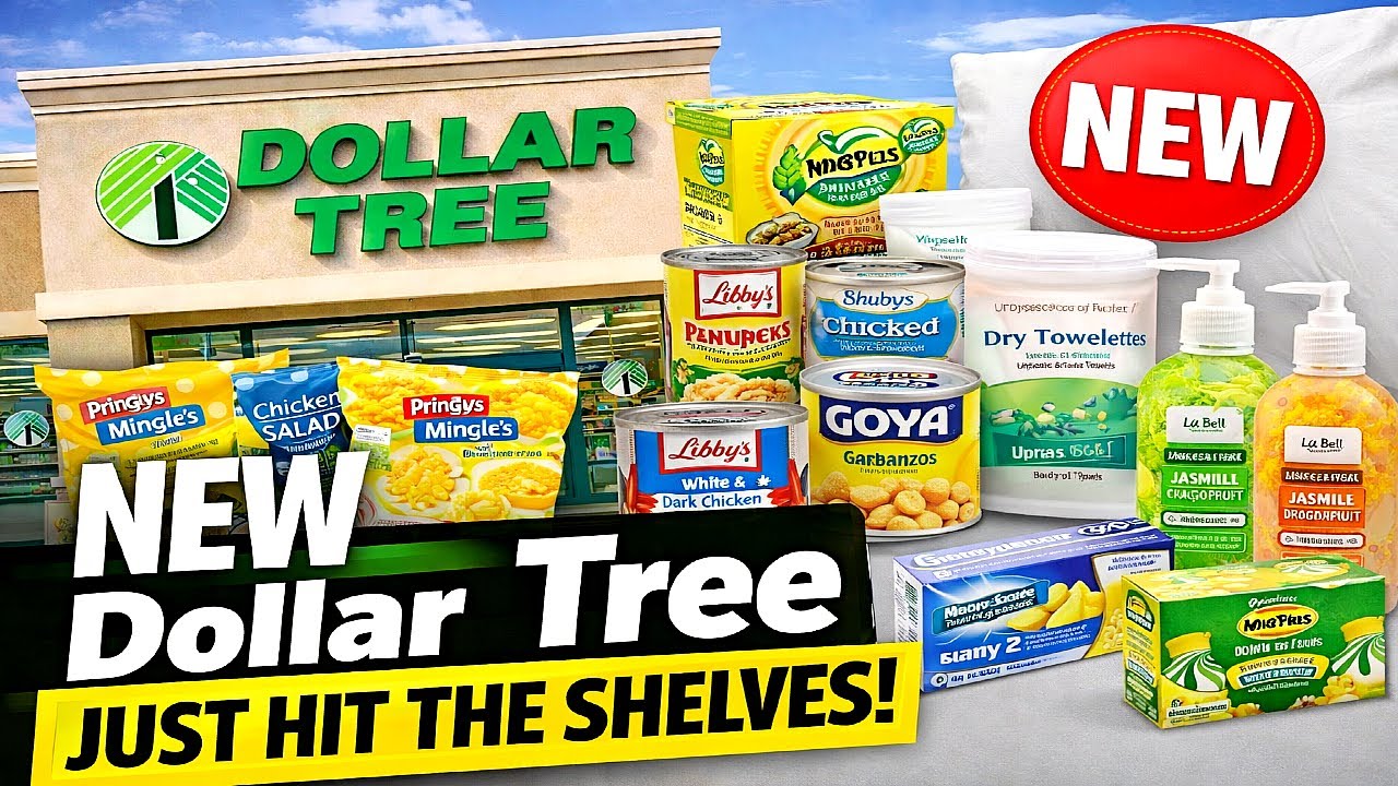 DOLLAR TREE HAUL | PANTRY STOCK UP FOR BAD WEATHER & MORE | NEW FINDS