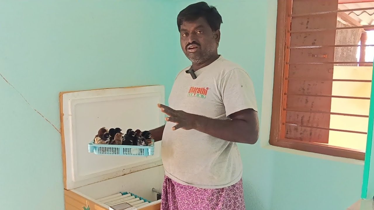  నాటుకోళ్ళు పది పోతే ఇరవై వచ్చాయి పోయినవాటి గురించి దిగులెందుకు