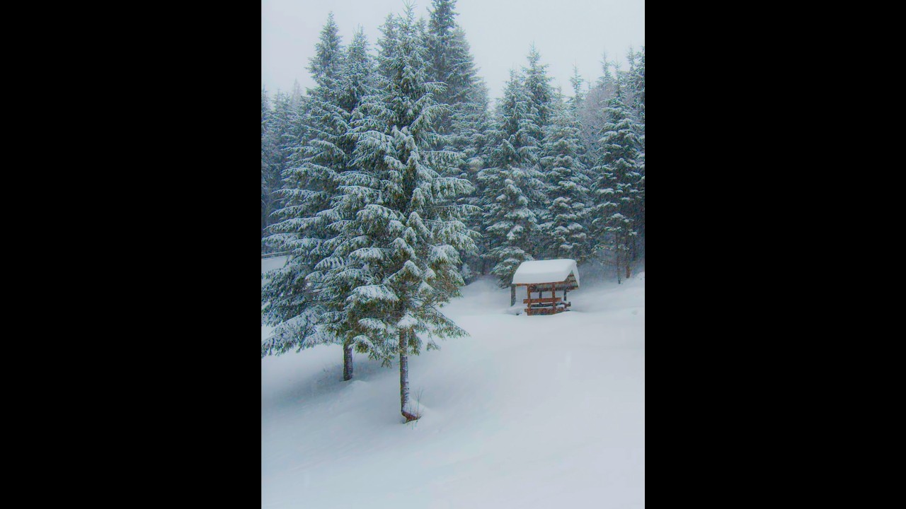 Vertical Winter Snowfall in 4K HDR | Peaceful Snowy Carpathian Forest for iPad & Tablets – Episode 2