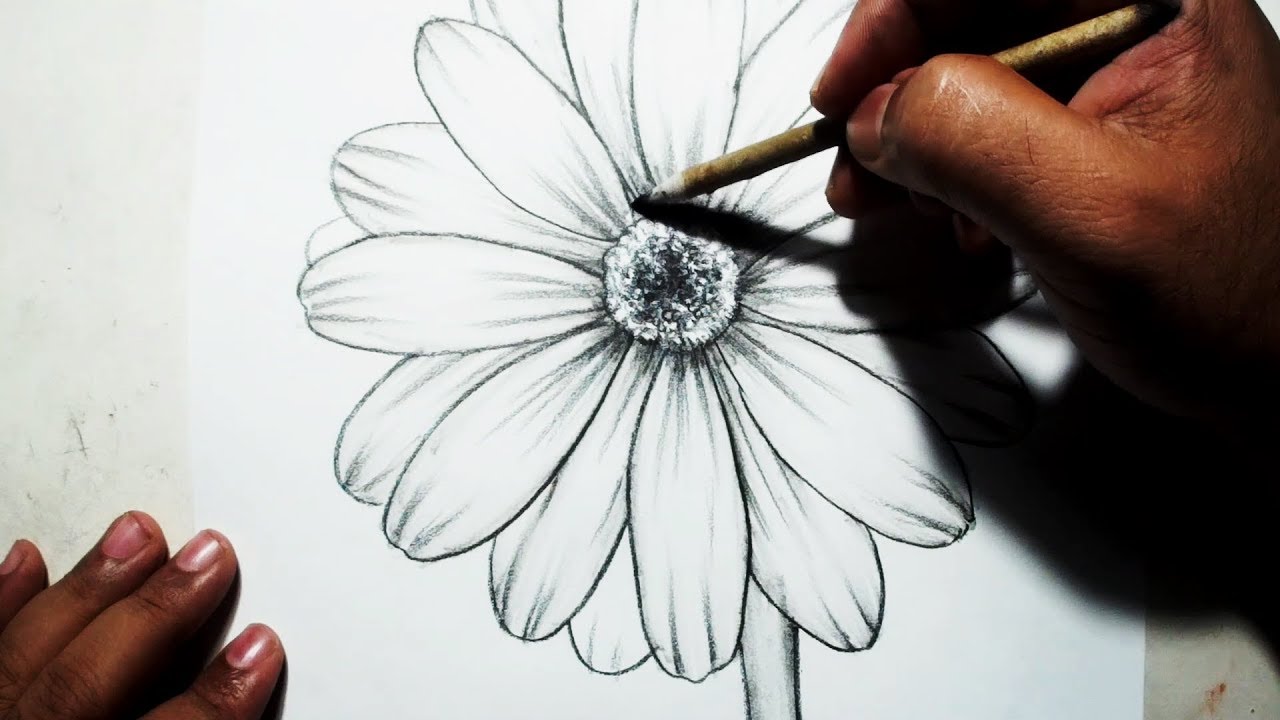 How to Draw A flower || Easy Pencil Drawing