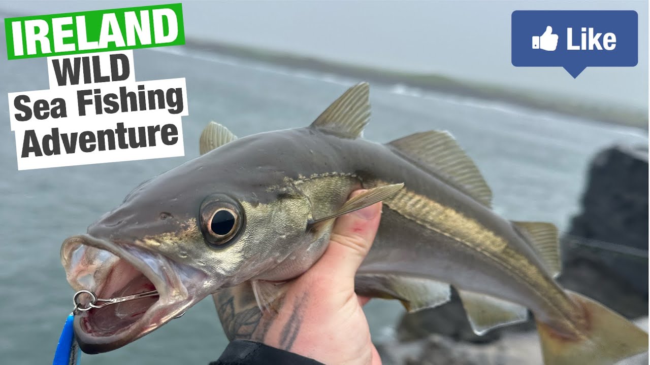 Irish Sea Fishing adventure Wild Coast!