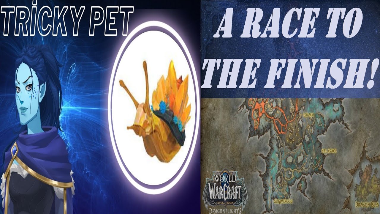 A Race to the Finish! Wow Quest | Tricky Pet