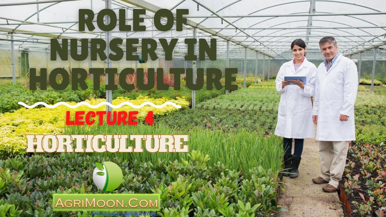 Role of Nursery in Horticulture |  Lecture 4 | Debjani Pandit |  AgriMoon