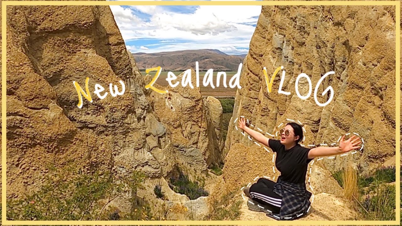 🇳🇿 뉴질랜드 남섬 여행 필수 코스, 여기 어디게? (#루핀 명소)