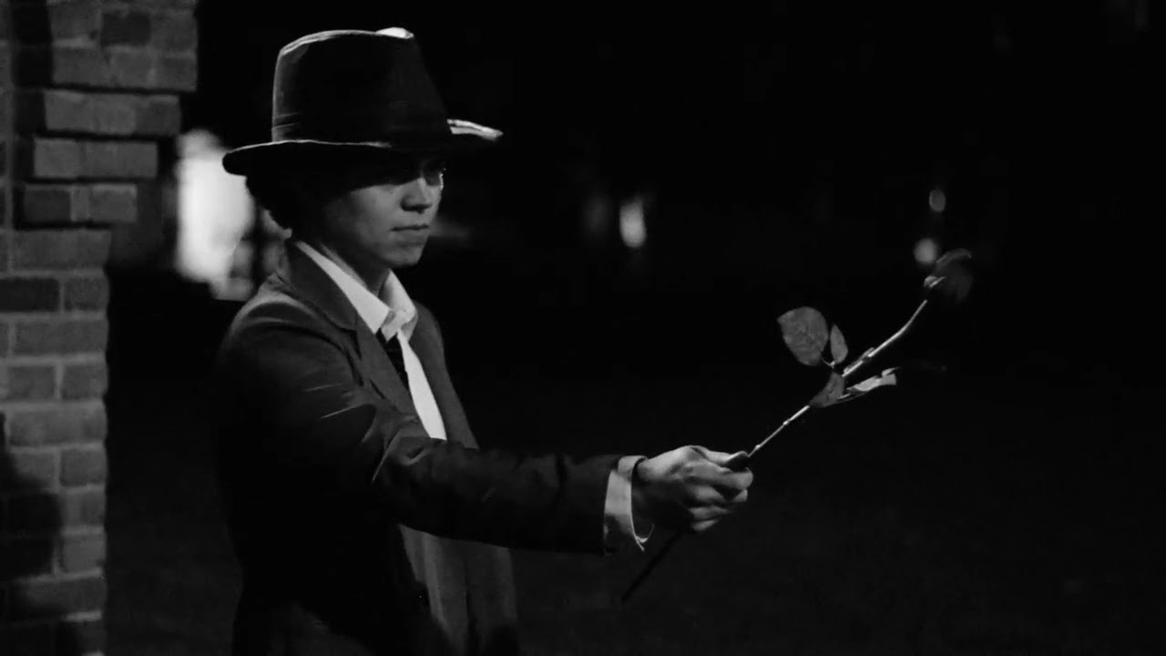 I Was a Fool to Want You- Frank Sinatra Music Video Project