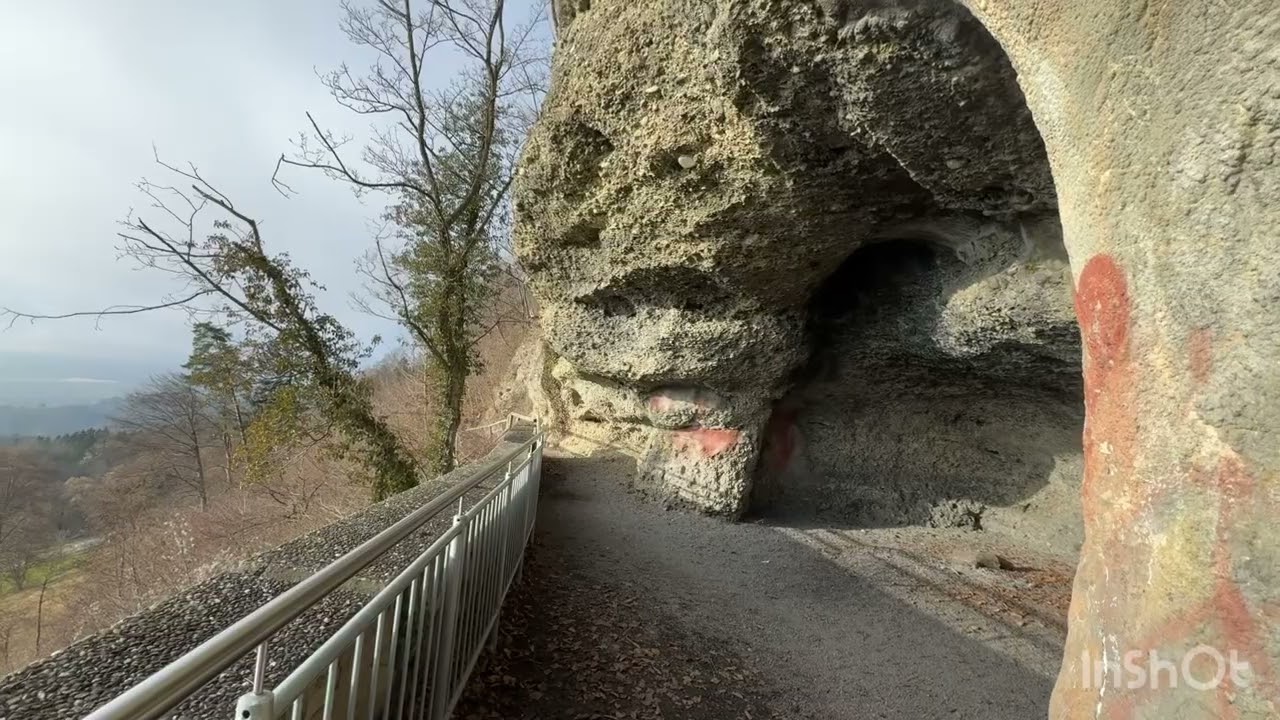 FriedWald Heiligenberg 🌲