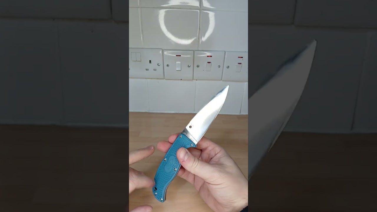 Counterfeit Spyderco Enuff 2. Fake fixed blade hunting knife from Temu