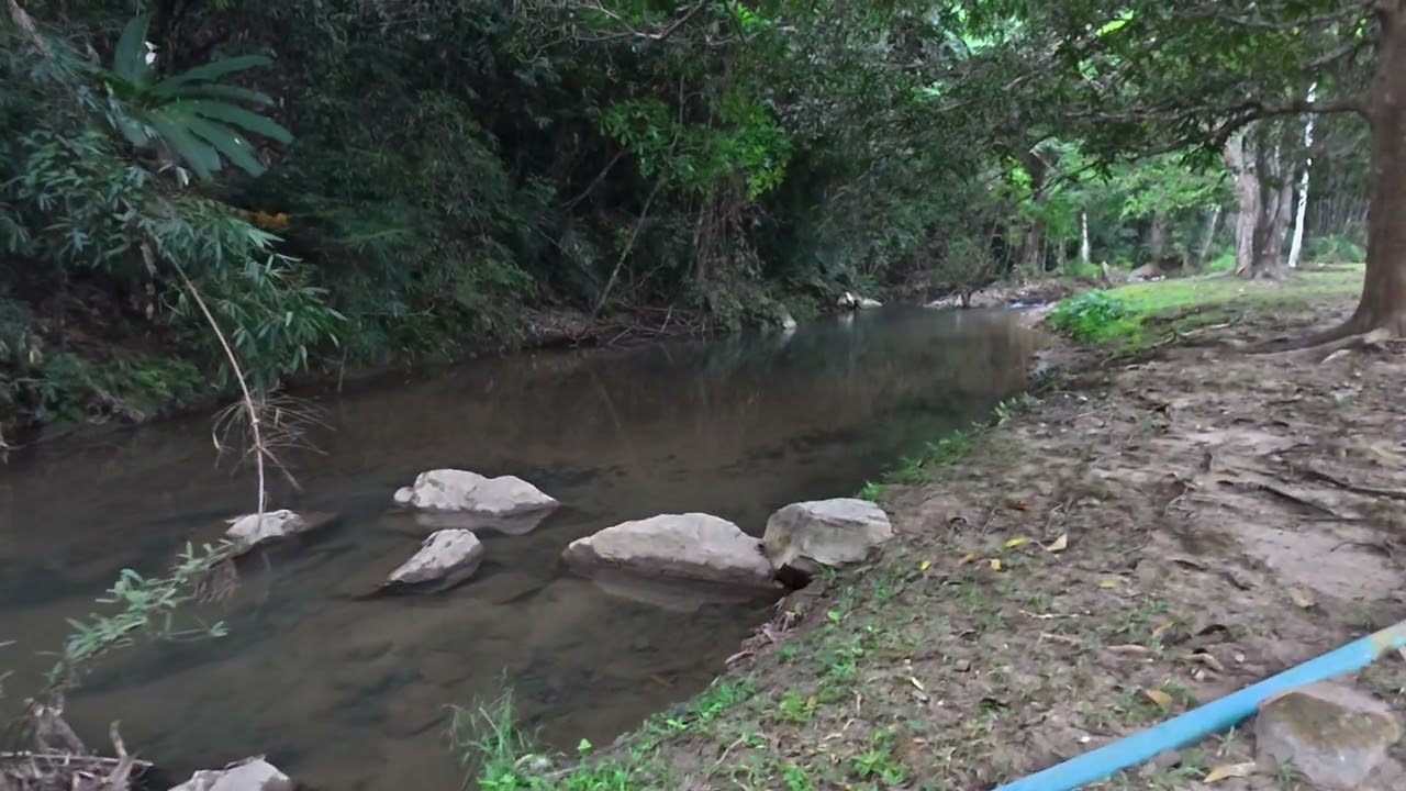 [Sukhothai]【#เที่ยวจริงดิ】#อุทยานแห่งชาติศรีสัชนาลัย The sounds of flowing water in nature #ASMR 2