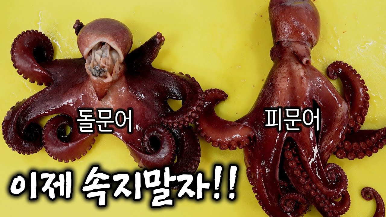 2배 비싼 피문어는 돌문어와 맛 자체가 틀립니다!