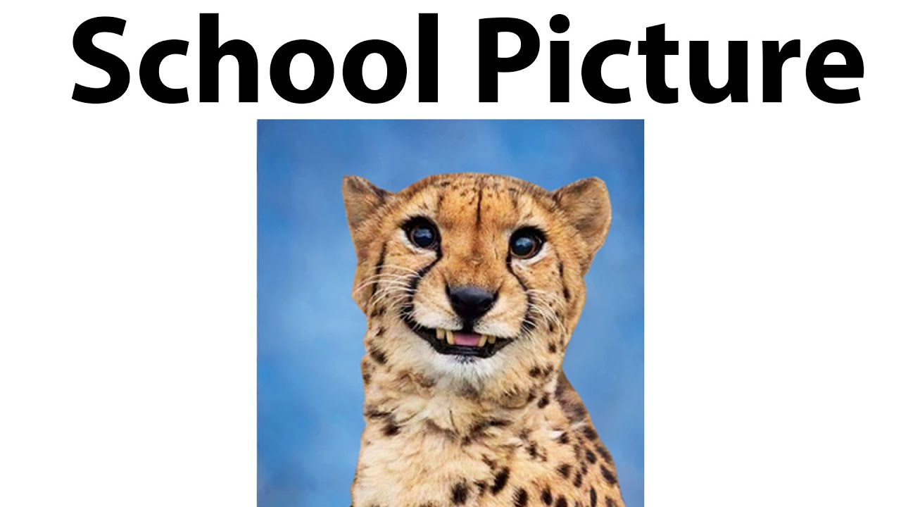 UNUSUAL MEMES V332