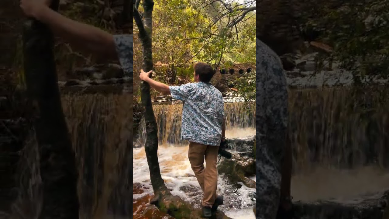 Newlands Forest - Cape Town