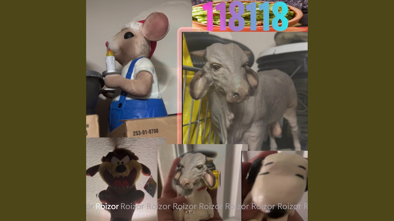 118118