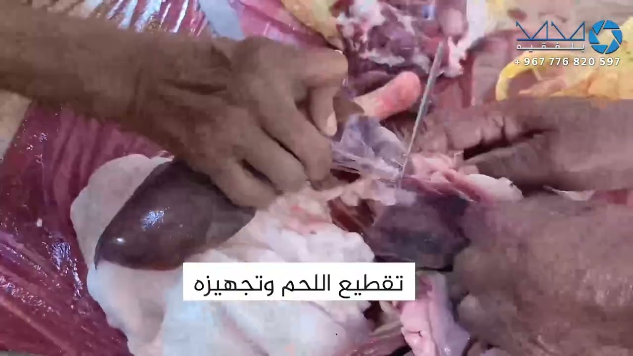 طريقة عمل اللحم المظبي 🍖