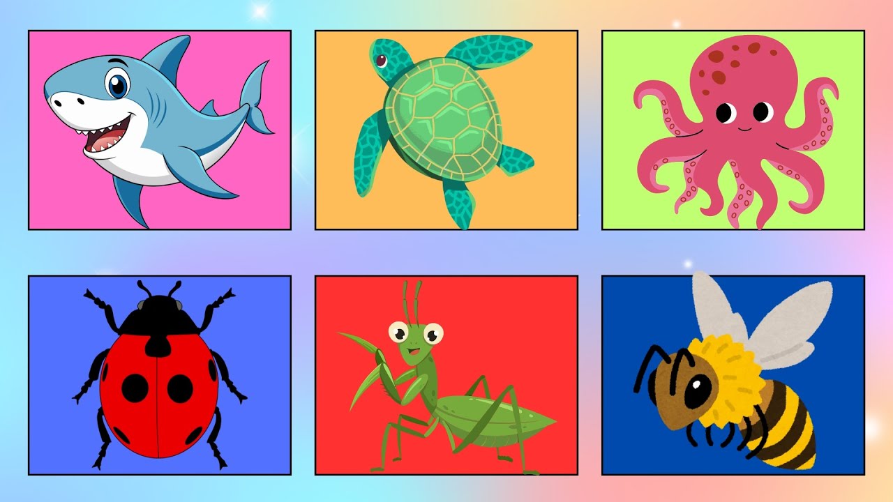 Conheça os animais marinhos e os insetos - Vídeo educativo para crianças