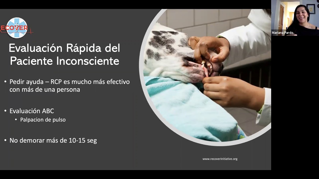 webinar solidario 3 RCP