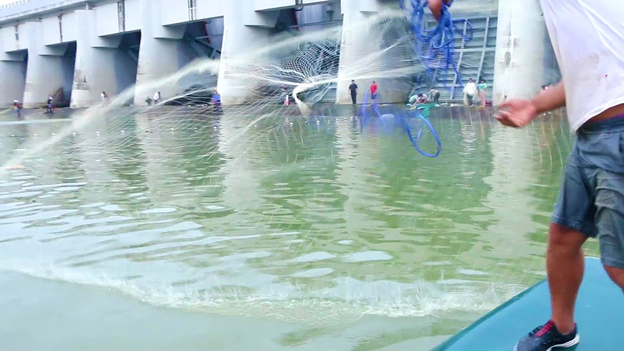 The gate is closed, and the gate is full of people grabbing fish